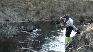 jolly-and-muddy-evening_3.jpg