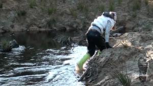 jolly-and-muddy-evening_5.jpg