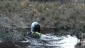 jolly-and-muddy-evening_9.jpg