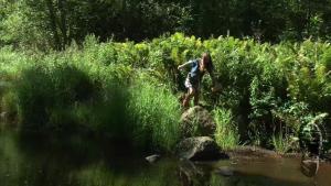 muddy-adventure-in-the-forest_1.jpg