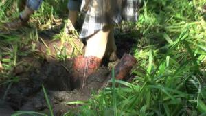 muddy-adventure-in-the-forest_17.jpg