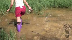 muddy-brook_8.jpg