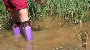 muddy-brook_9.jpg