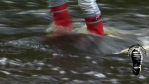 on-the-river-lava_19.jpg