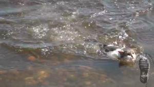 our-adventures-video-cut_1.jpg