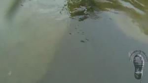 our-adventures-video-cut_11.jpg