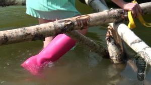 pink-wellies-and-translucent-d_5.jpg
