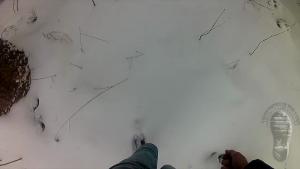 snow-walk-in-purple-wellies_10.jpg