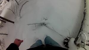 snow-walk-in-purple-wellies_13.jpg