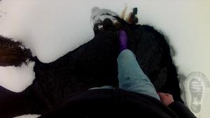 snow-walk-in-purple-wellies_17.jpg