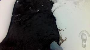 snow-walk-in-purple-wellies_24.jpg