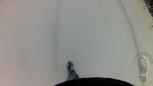 snow-walk-in-purple-wellies_6.jpg