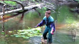 snowsuit-in-summer_15.jpg
