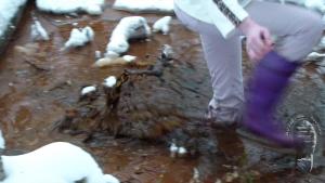 so-cold-so-dirty_9.jpg
