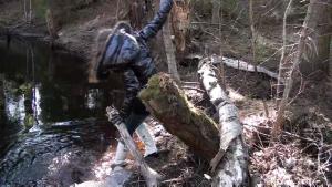 spring-muddy-walk_10.jpg