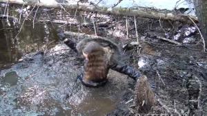 spring-muddy-walk_15.jpg