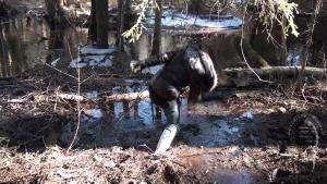 spring-muddy-walk_6.jpg