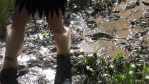 stuck-in-the-mud_11.jpg