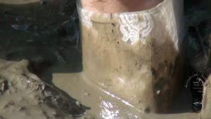 stuck-in-the-mud_17.jpg