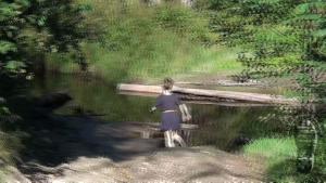 stuck-in-the-mud_4.jpg