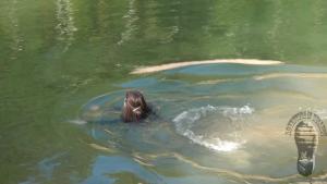 swimming-with-a-loss-of-one-ra_17.jpg