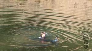 swimming-with-a-loss-of-one-ra_20.jpg