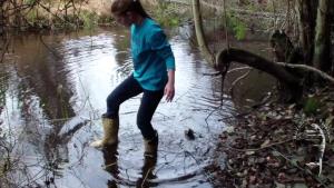 tiger-in-the-mud_13.jpg