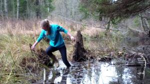 tiger-in-the-mud_14.jpg