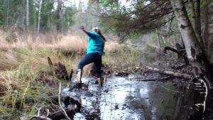 tiger-in-the-mud_16.jpg