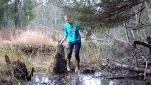 tiger-in-the-mud_17.jpg