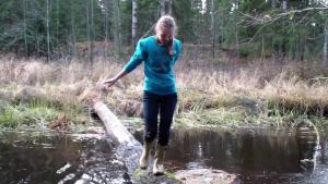 tiger-in-the-mud_24.jpg