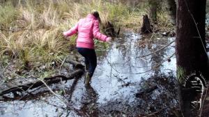 tiger-in-the-mud_3.jpg