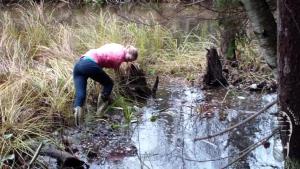 tiger-in-the-mud_4.jpg