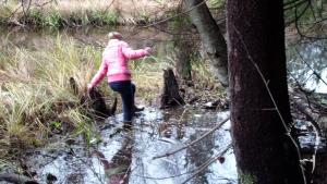 tiger-in-the-mud_5.jpg