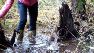 tiger-in-the-mud_6.jpg