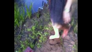walk-on-the-river-in-patterned_20.jpg