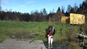 wet-and-muddy-jaunt-in-hunter_1.jpg
