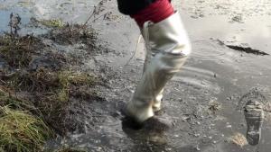 wet-and-muddy-jaunt-in-hunter_17.jpg