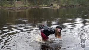 wet-autumn-walk-in-hunter-well_17.jpg