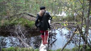 wet-autumn-walk-in-hunter-well_2.jpg