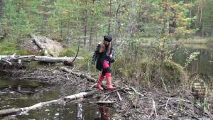 wet-autumn-walk-in-hunter-well_3.jpg