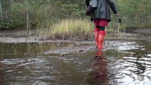 wet-autumn-walk-in-hunter-well_5.jpg