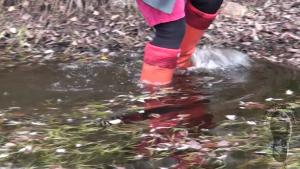 wet-autumn-walk-in-hunter-well_6.jpg