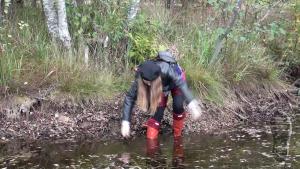 wet-autumn-walk-in-hunter-well_8.jpg