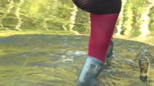 wet-hunters-walk_4.jpg