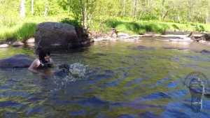 wet-stream_17.jpg