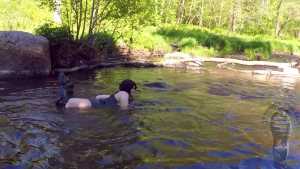 wet-stream_23.jpg