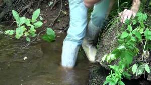 wet-walk-with-change-of-boots_2.jpg