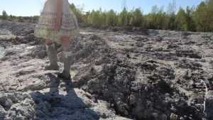 white-hunter-rescue_14.jpg